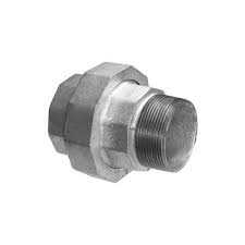 Pocinčani holender N/V